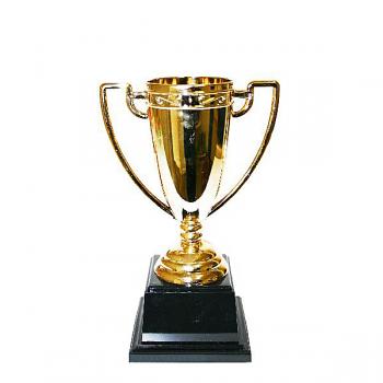 Pokal