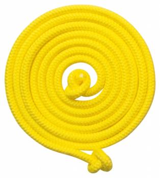 Schwingseil 2,50m