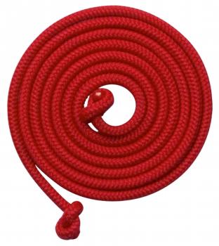 Schwingseil 2,50m