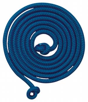 Schwingseil 2,50m